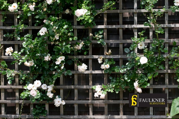 Can I put trellis on my Neighbours garage wall? 2 Do you want to adapt your neighbours garage door and add a trellis Reading? Talk to Faulkner Surveyor Reading